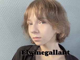 Elwinegallant