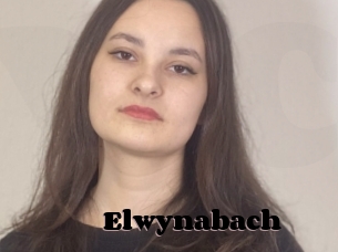 Elwynabach