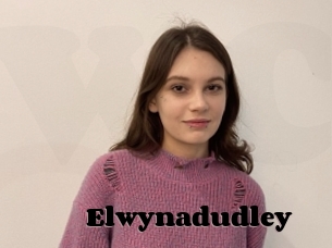 Elwynadudley