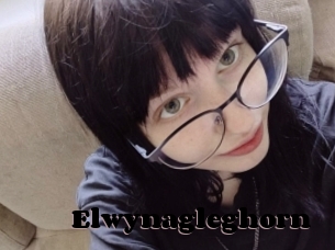 Elwynagleghorn