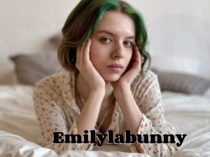 Emilylabunny