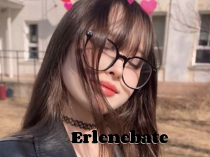 Erlenebate