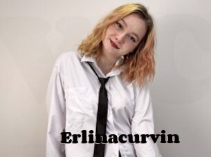 Erlinacurvin
