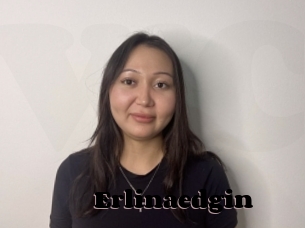 Erlinaedgin