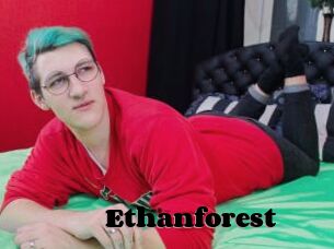 Ethanforest