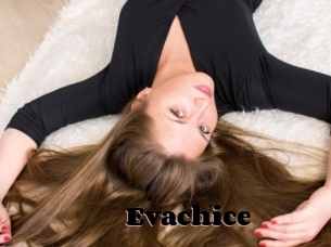Evachice