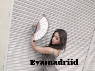 Evamadriid