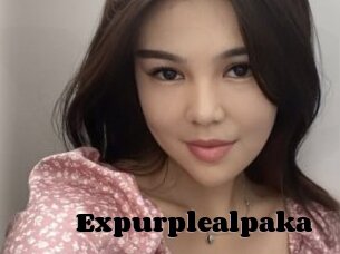 Expurplealpaka