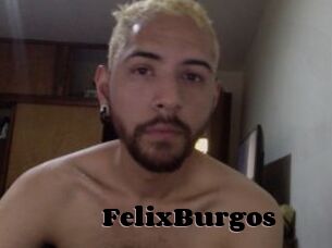 FelixBurgos