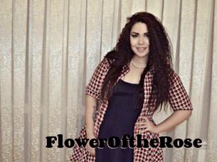 FlowerOftheRose