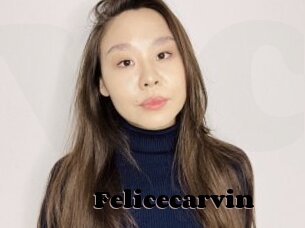 Felicecarvin