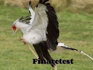 Finaretest