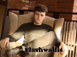 Flashwallis