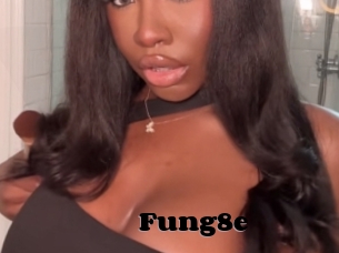 Fung8e