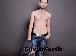 GavinNorth