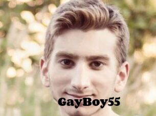 GayBoy55
