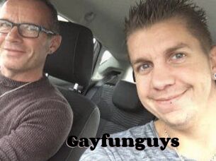Gayfunguys