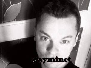Gayminet