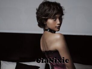 GiaNixie
