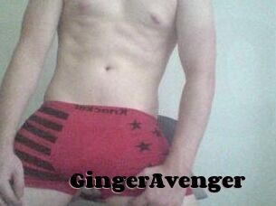 GingerAvenger