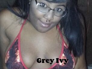 Grey_Ivy