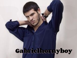 Gabrielhornyboy