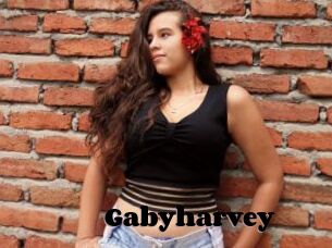 Gabyharvey