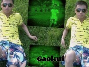 Gaokui