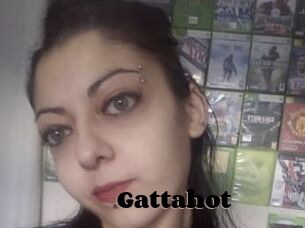 Gattahot