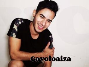 Gavoloaiza