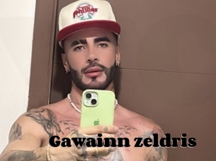 Gawainn_zeldris