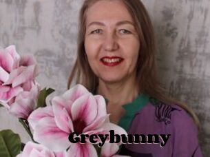 Greybunny