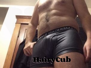 HairyCub