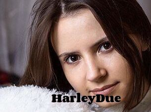 Harley_Due
