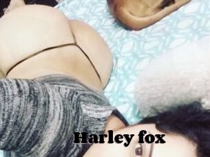Harley_fox