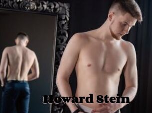 Howard_Stein