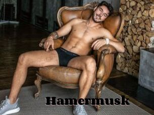 Hamermusk