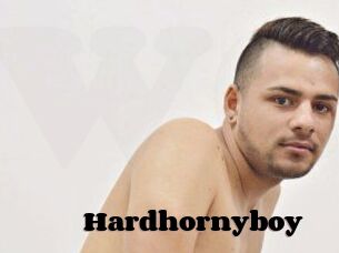 Hardhornyboy