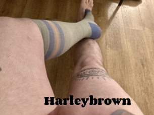 Harleybrown