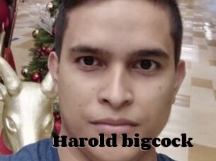 Harold_bigcock