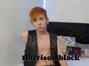 Harrison_black