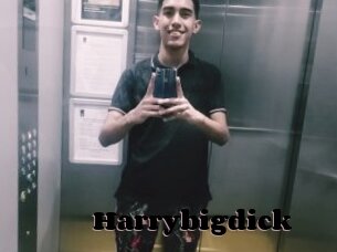 Harrybigdick