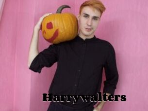 Harrywalters