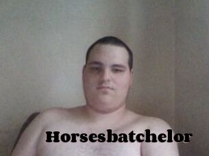 Horsesbatchelor