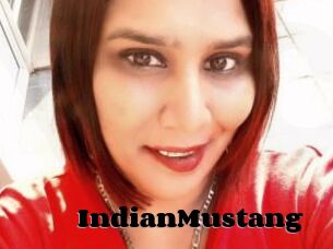 IndianMustang