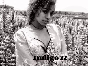Indigo_22