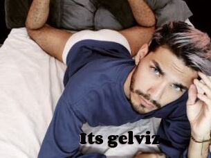 Its_gelviz