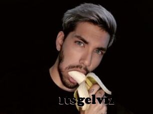 Itsgelviz