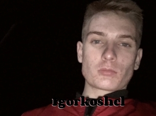 Igorkoshel