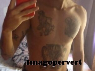 Imagopervert